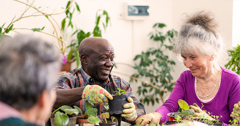 Group of seniors potting plants